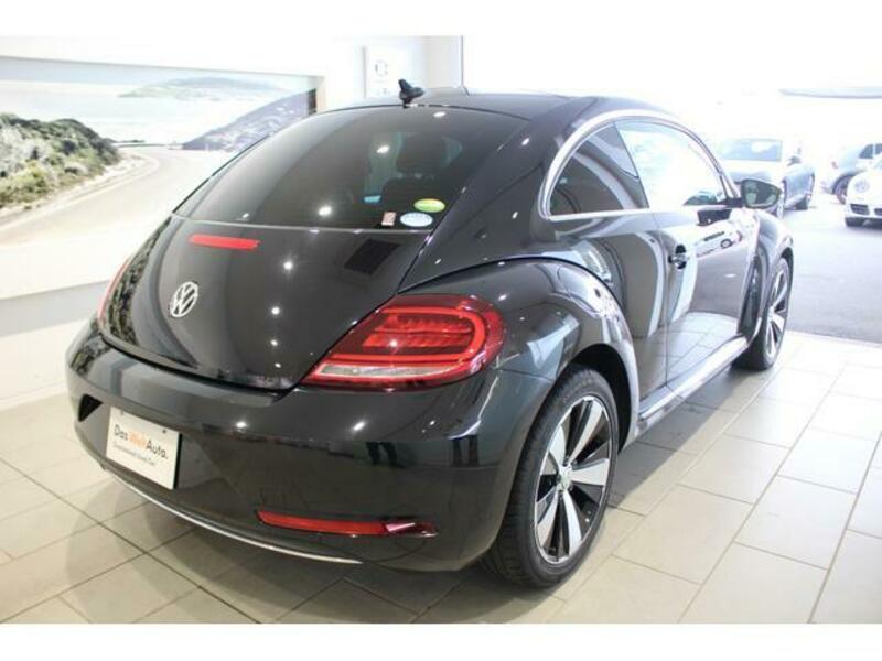 THE BEETLE