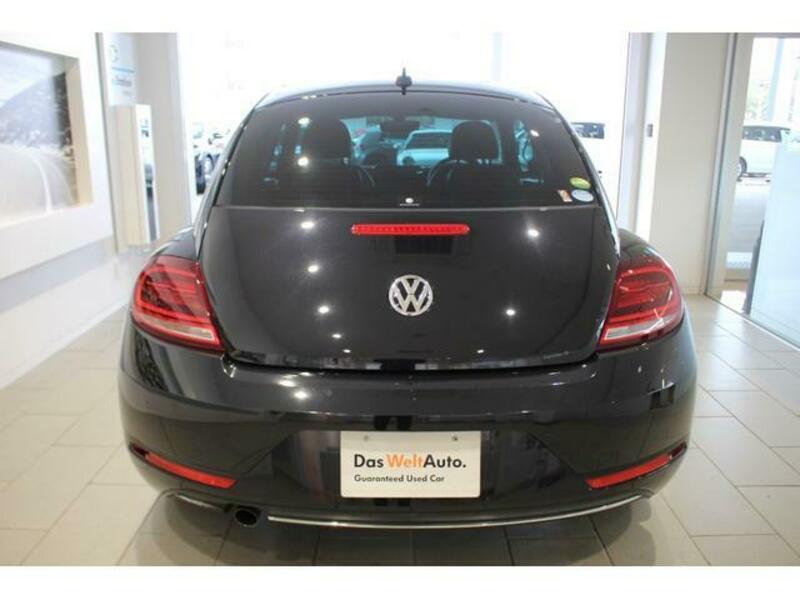 THE BEETLE