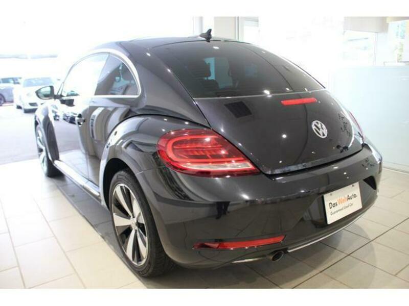 THE BEETLE