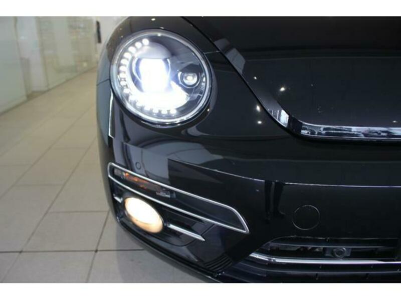 THE BEETLE