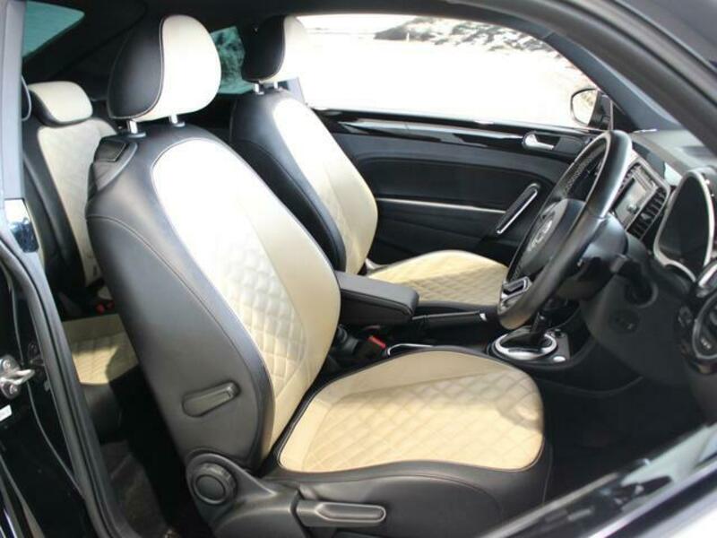 THE BEETLE