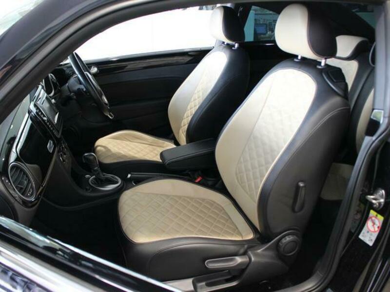 THE BEETLE