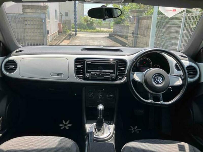 THE BEETLE