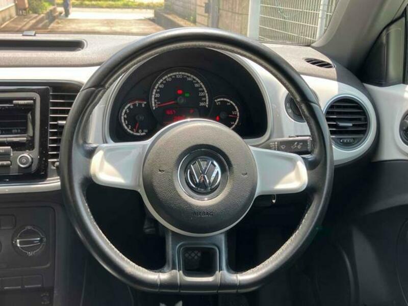 THE BEETLE