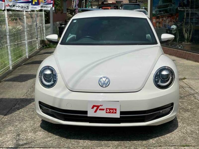 THE BEETLE