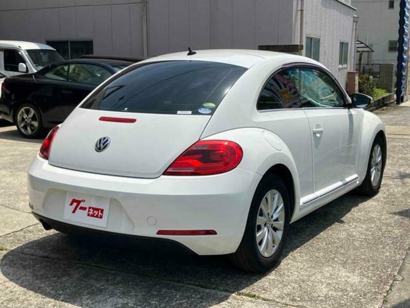 THE BEETLE