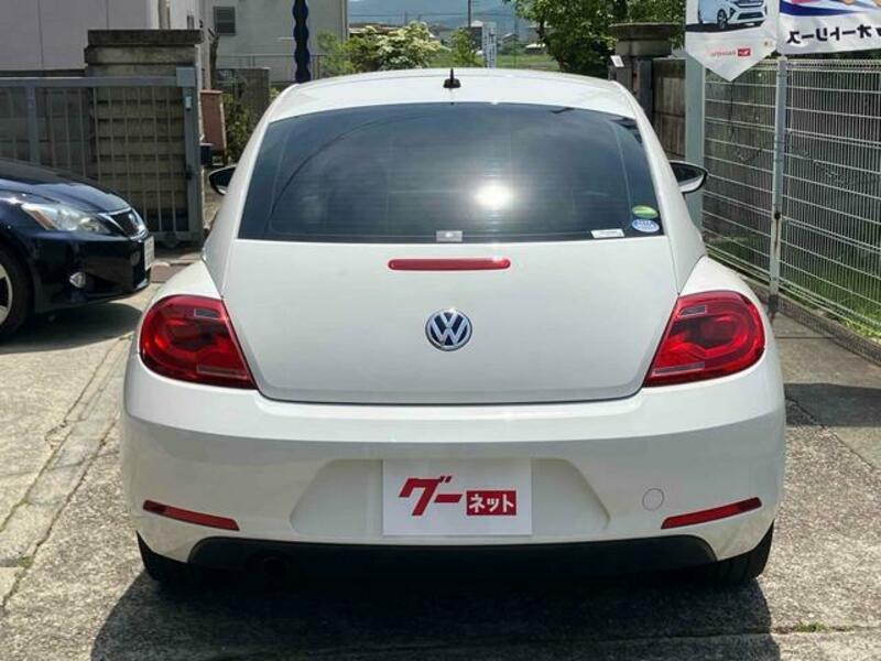 THE BEETLE