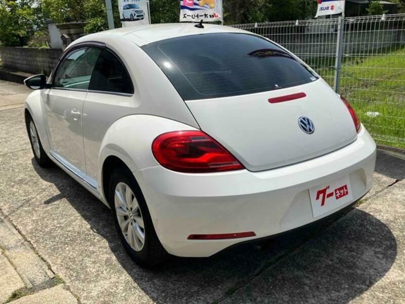 THE BEETLE