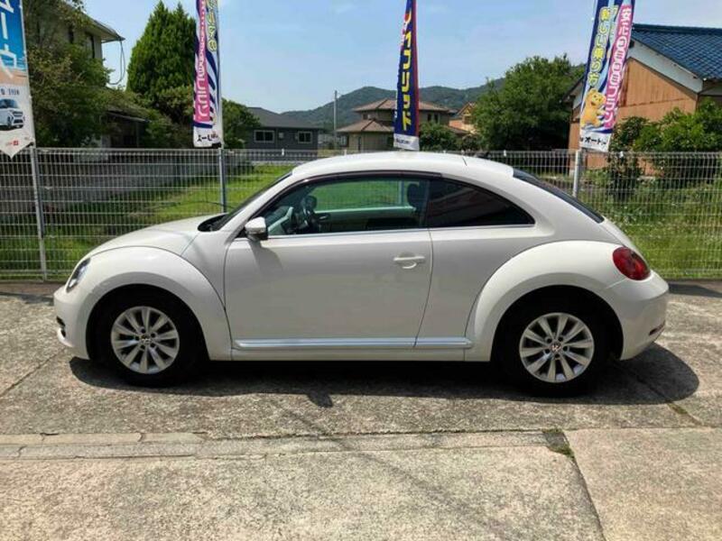 THE BEETLE