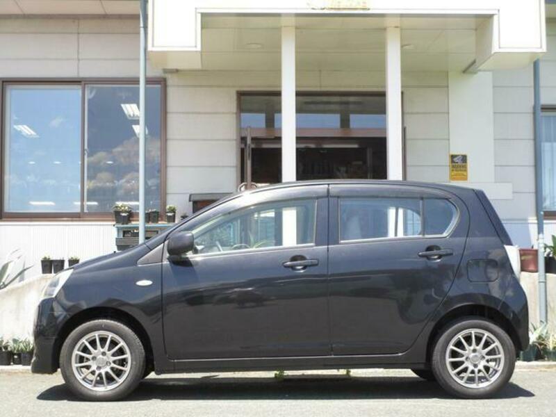 PLEO PLUS