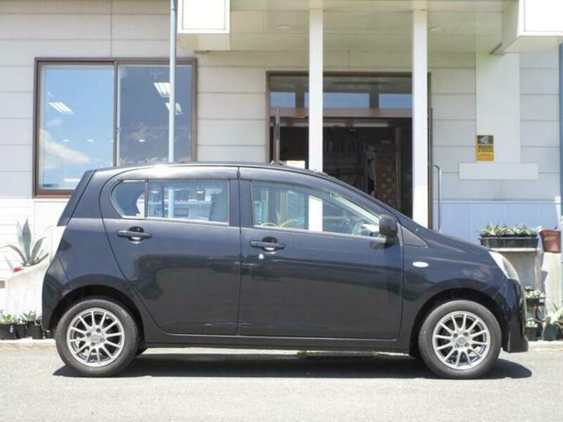 PLEO PLUS