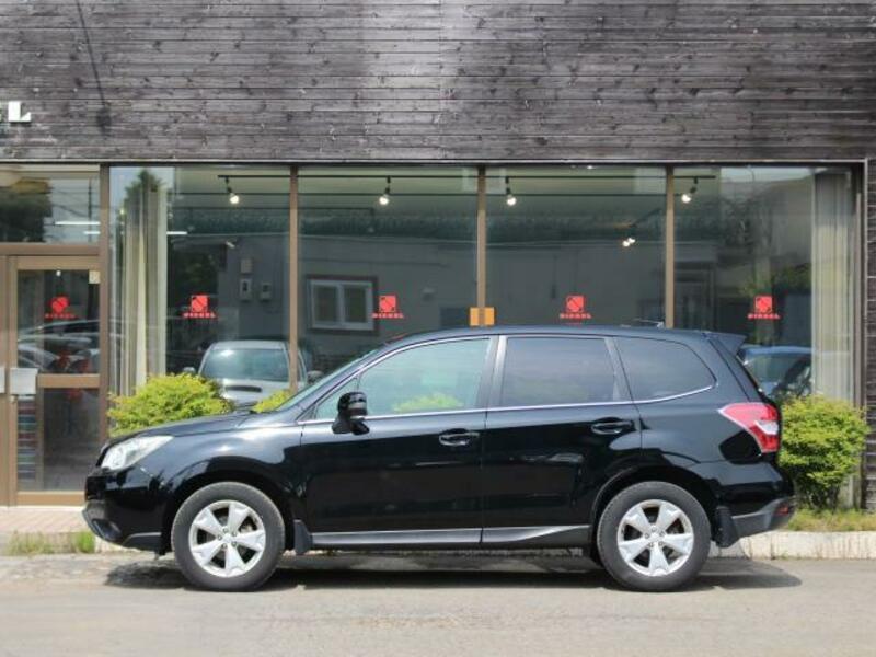FORESTER