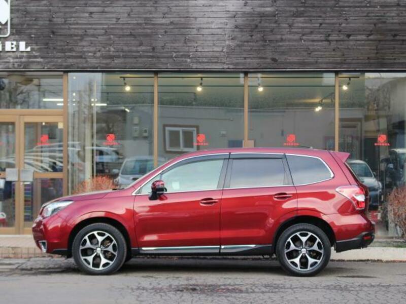 FORESTER