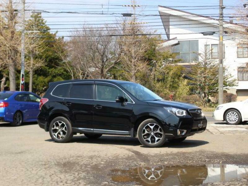 FORESTER