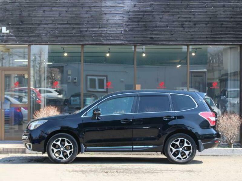 FORESTER