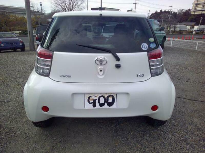 IQ
