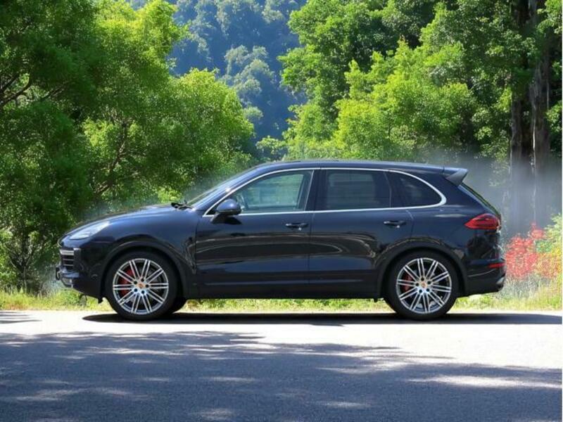 CAYENNE