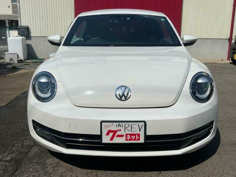 THE BEETLE