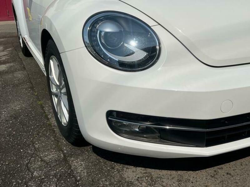 THE BEETLE