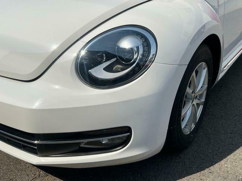 THE BEETLE