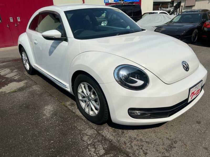 THE BEETLE