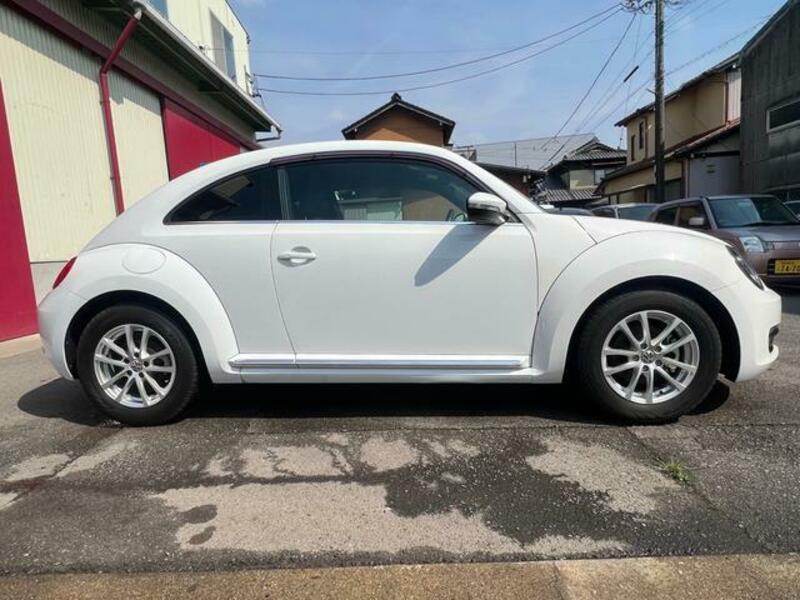 THE BEETLE