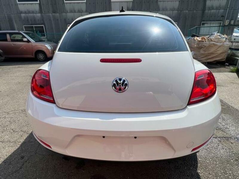 THE BEETLE