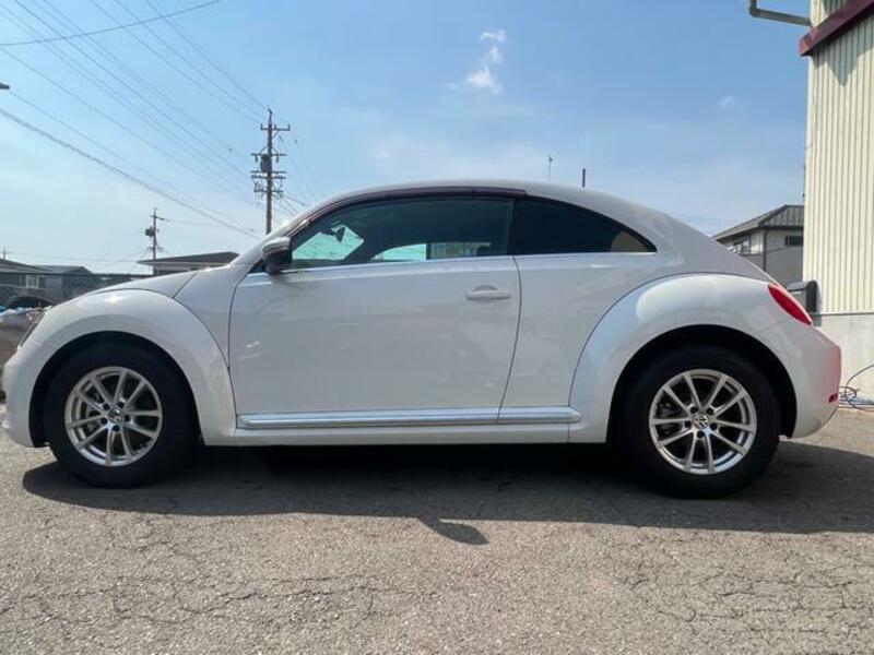 THE BEETLE