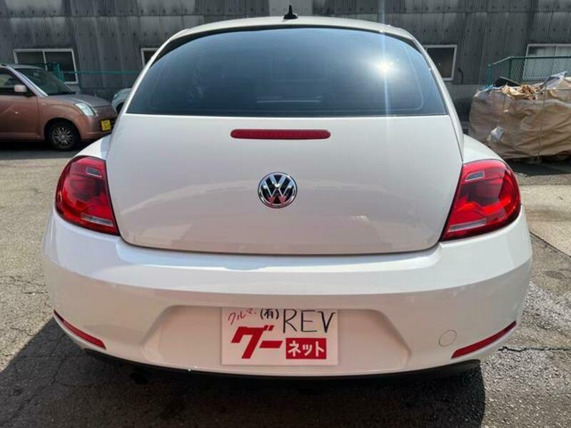 THE BEETLE