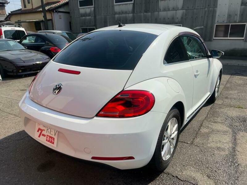THE BEETLE