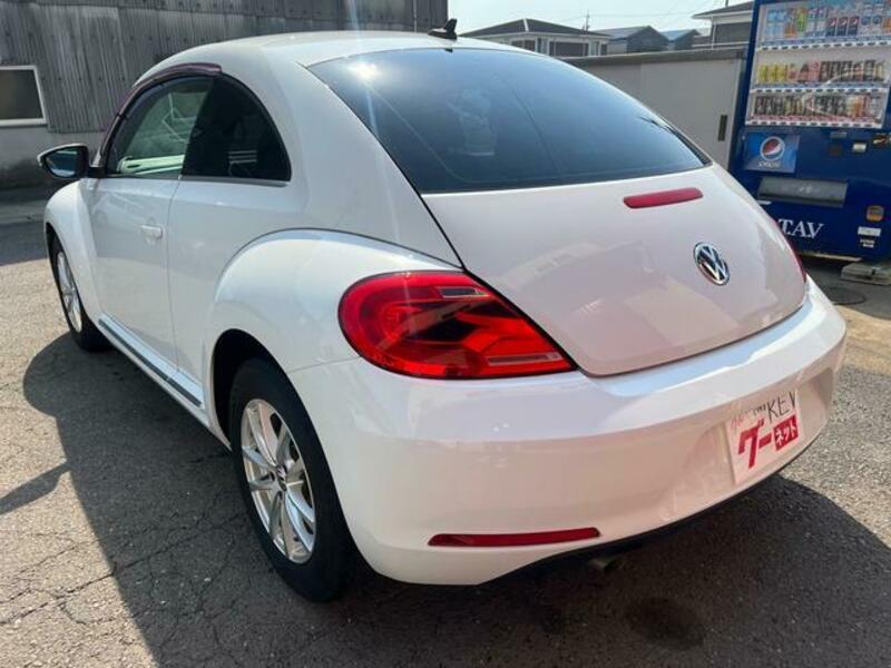 THE BEETLE