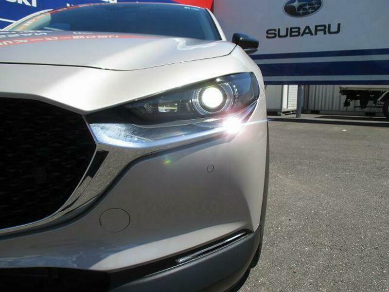 CX-30
