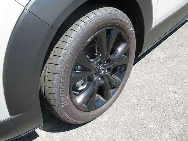 CX-30