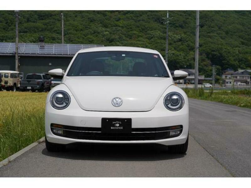 THE BEETLE