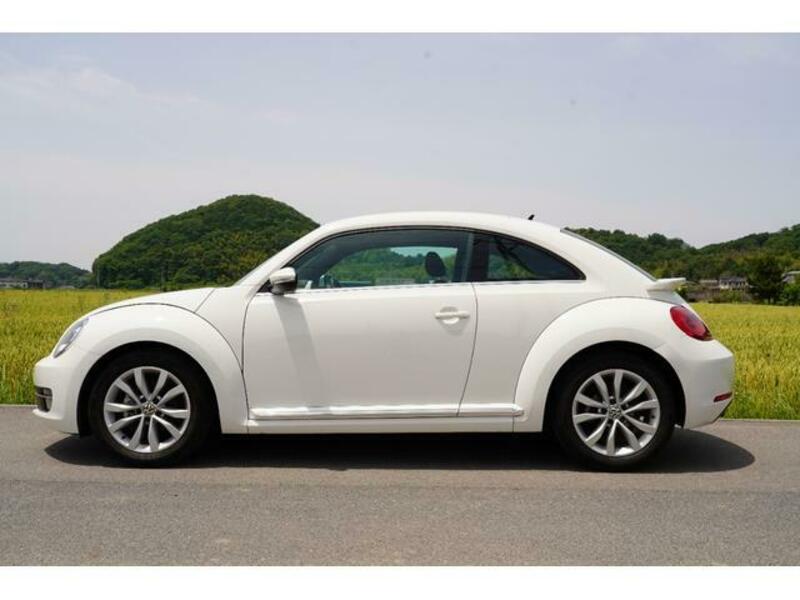 THE BEETLE