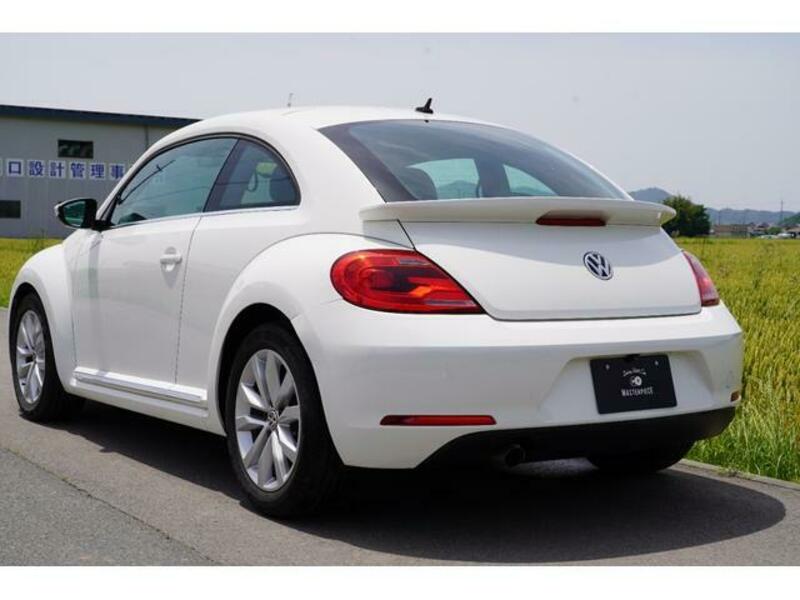 THE BEETLE