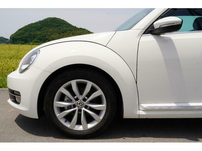 THE BEETLE