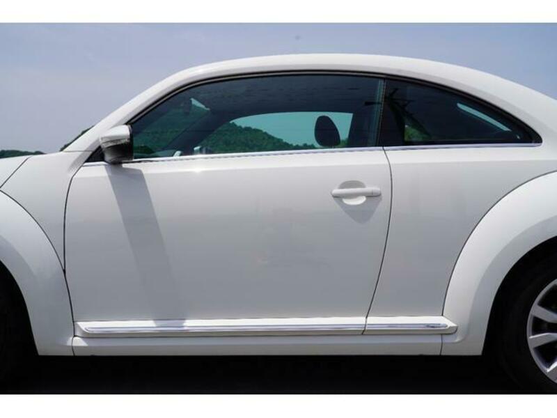 THE BEETLE