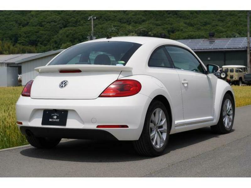 THE BEETLE