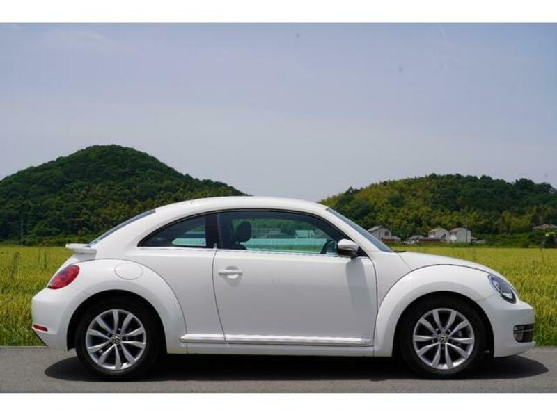 THE BEETLE
