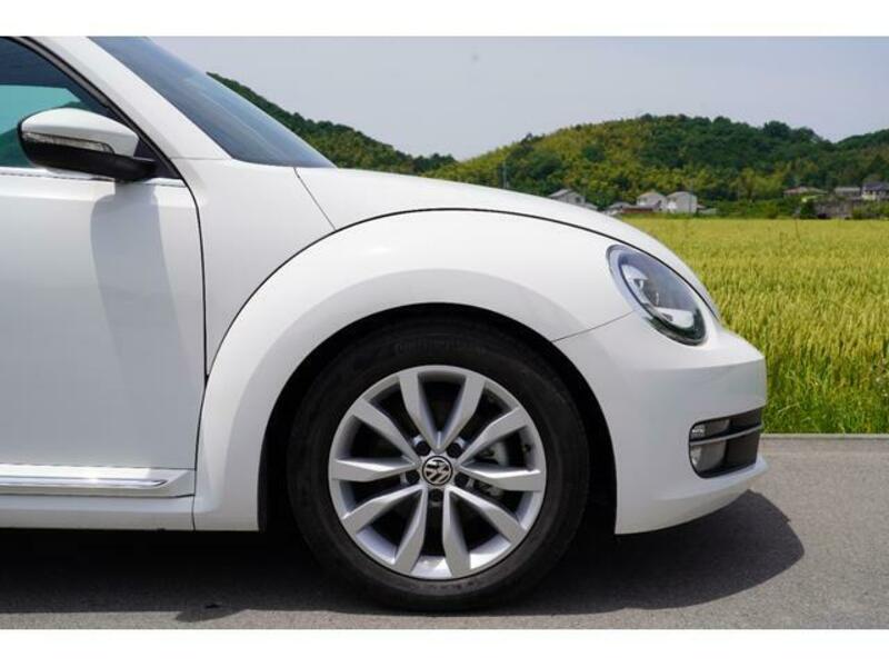 THE BEETLE