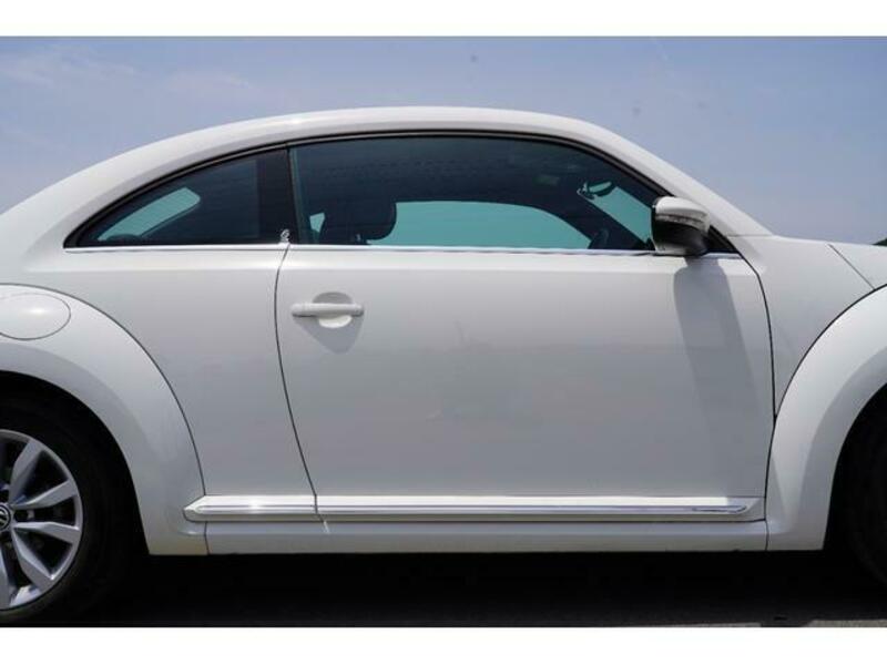 THE BEETLE
