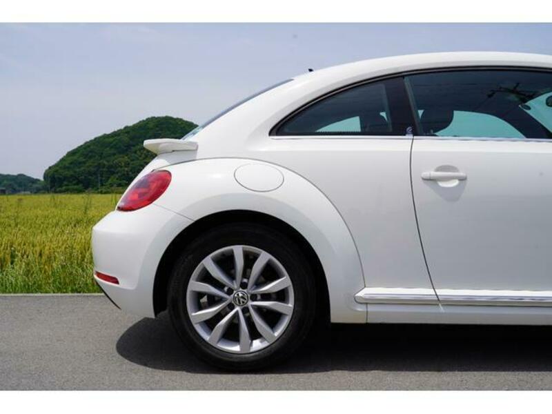 THE BEETLE