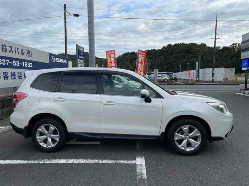 FORESTER