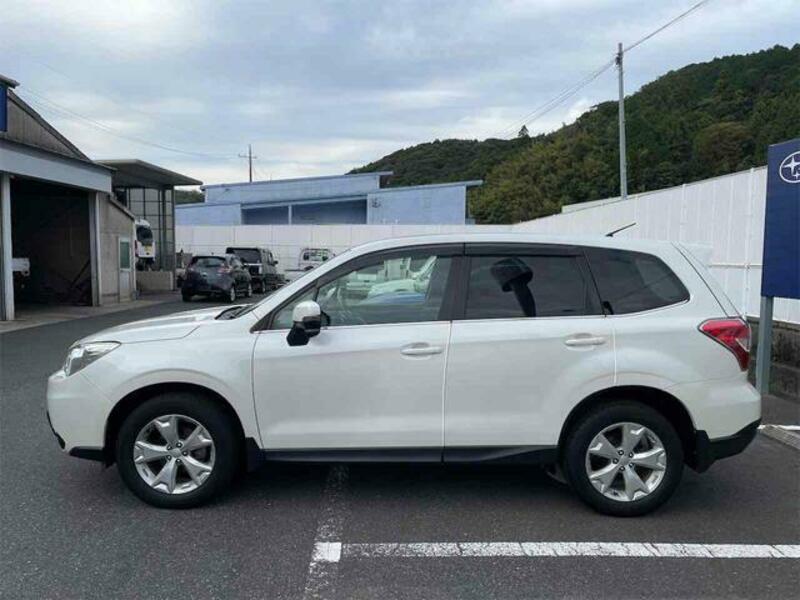 FORESTER