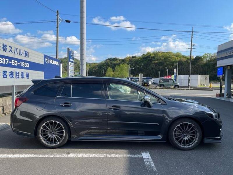 LEVORG