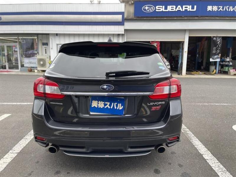 LEVORG
