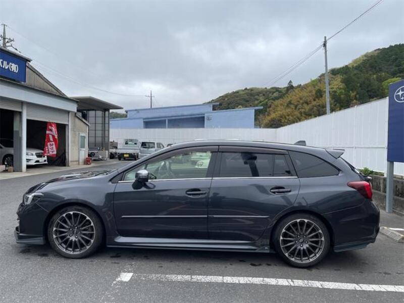 LEVORG