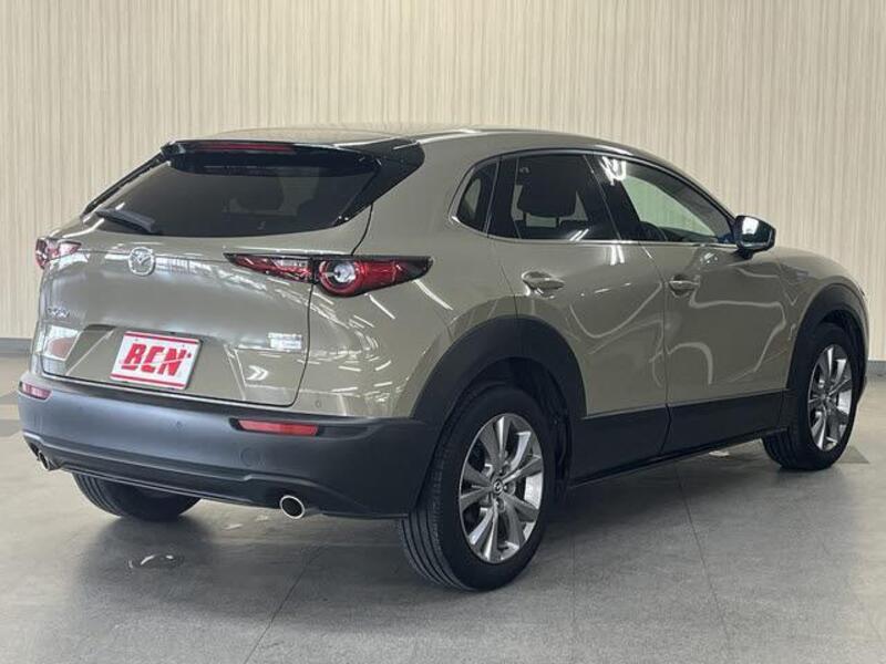 CX-30