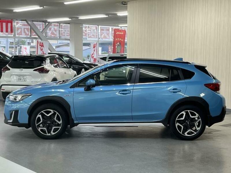 XV
